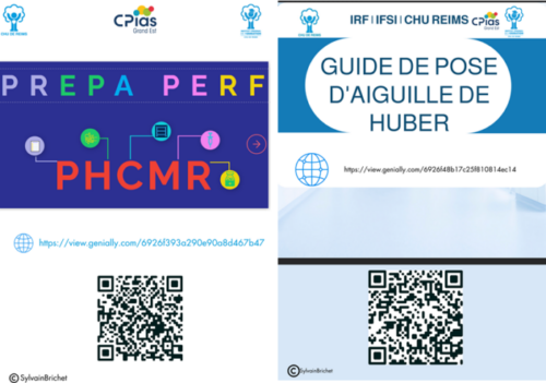 Nouveaux outils interactifs de l’IRF de Reims